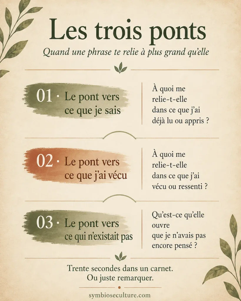 Infographie Les trois ponts présentant trois questions pour relier une phrase lue à ses connaissances, son vécu et de nouvelles idées, dans une réflexion sur lecture et cerveau.