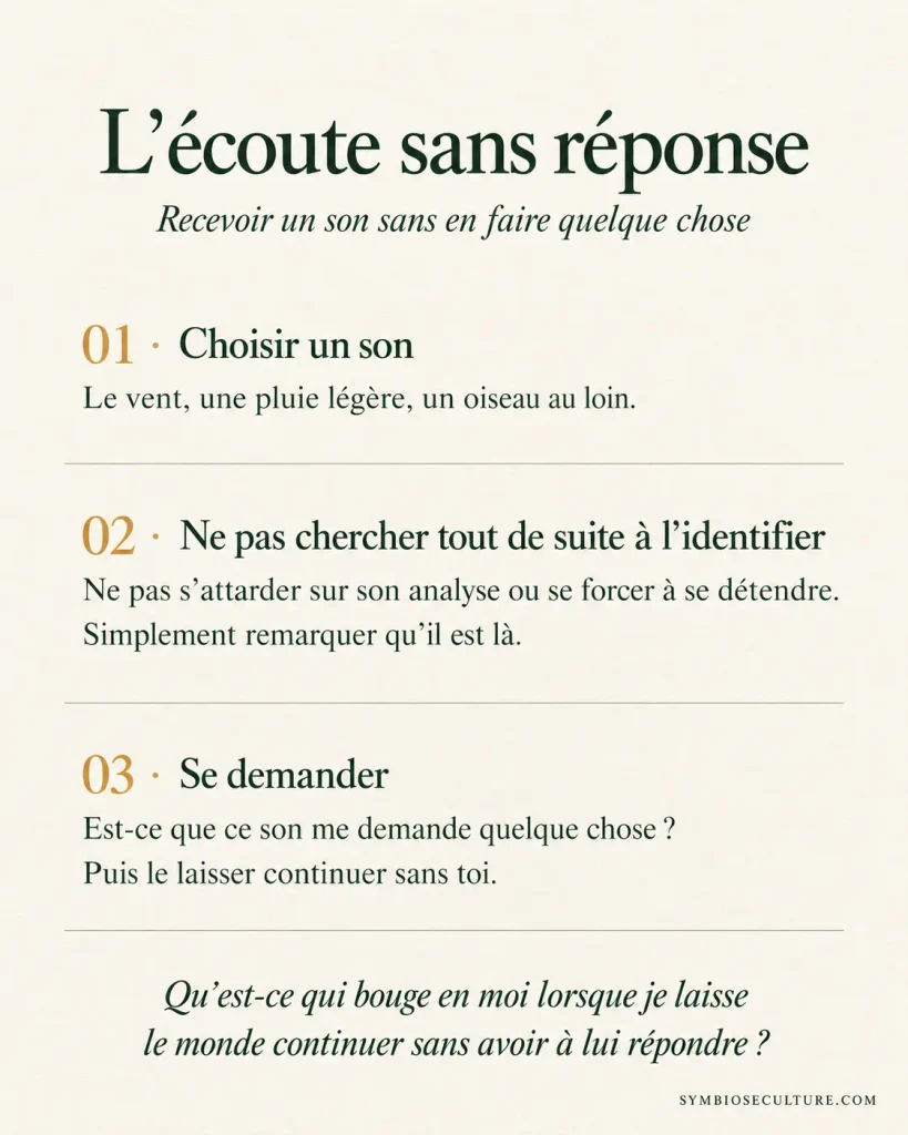 Infographie Symbiose intitulée « L’écoute sans réponse » : une pratique en 3 étapes pour recevoir les sons de la nature sans les analyser tout de suite — choisir un son, ne pas chercher immédiatement à l’identifier, puis se demander s’il nous demande quelque chose. Une carte douce pour comprendre pourquoi les sons de la nature nous apaisent.